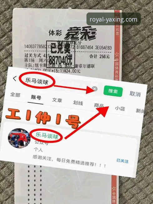 亚星官方网站下载 亚星体育平台:官方正版下载 vs 第三方渠道获取,安全与风险全面对比